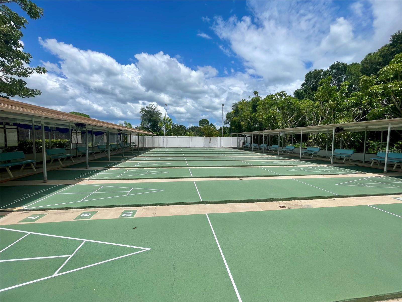 Shuffleboard