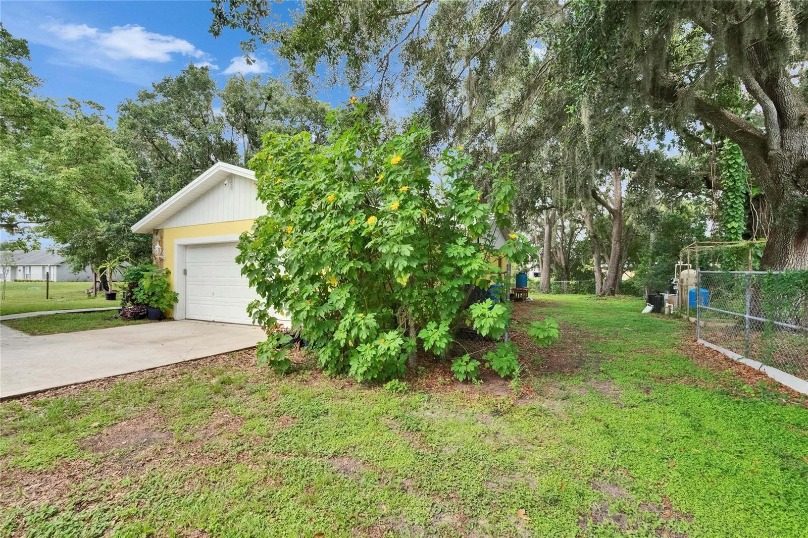 North Side of Home ( Right side) When looking from front of Home