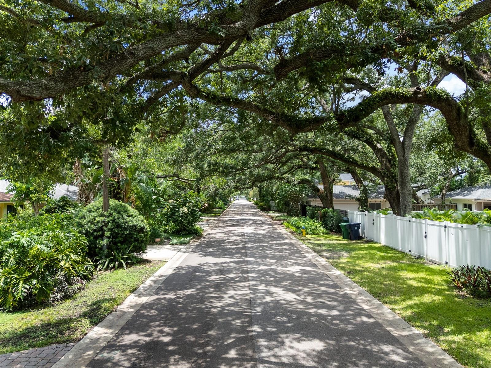 Beautiful picturesque street