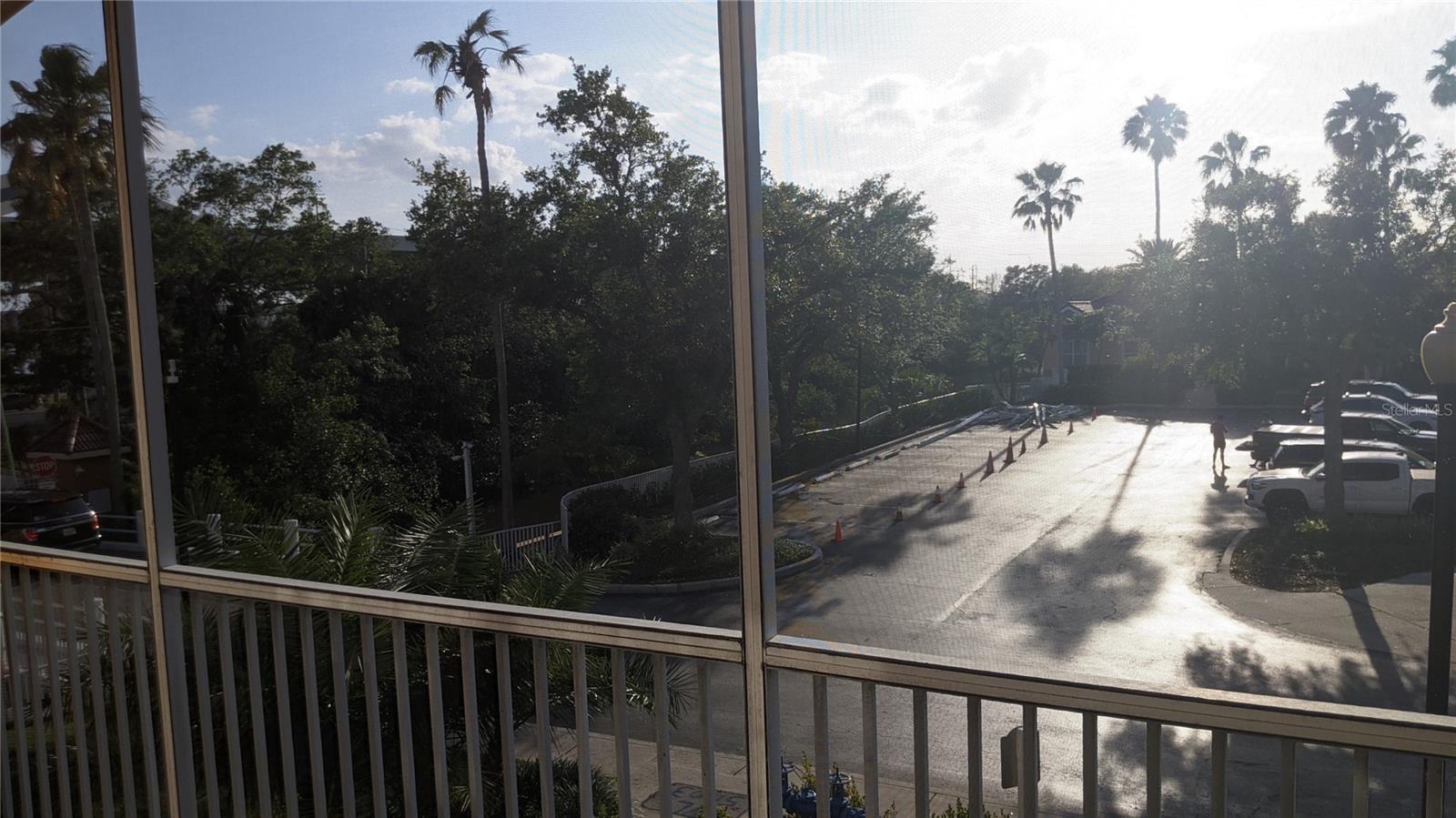 Screen Patio View