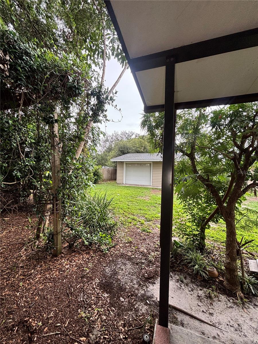 backyard