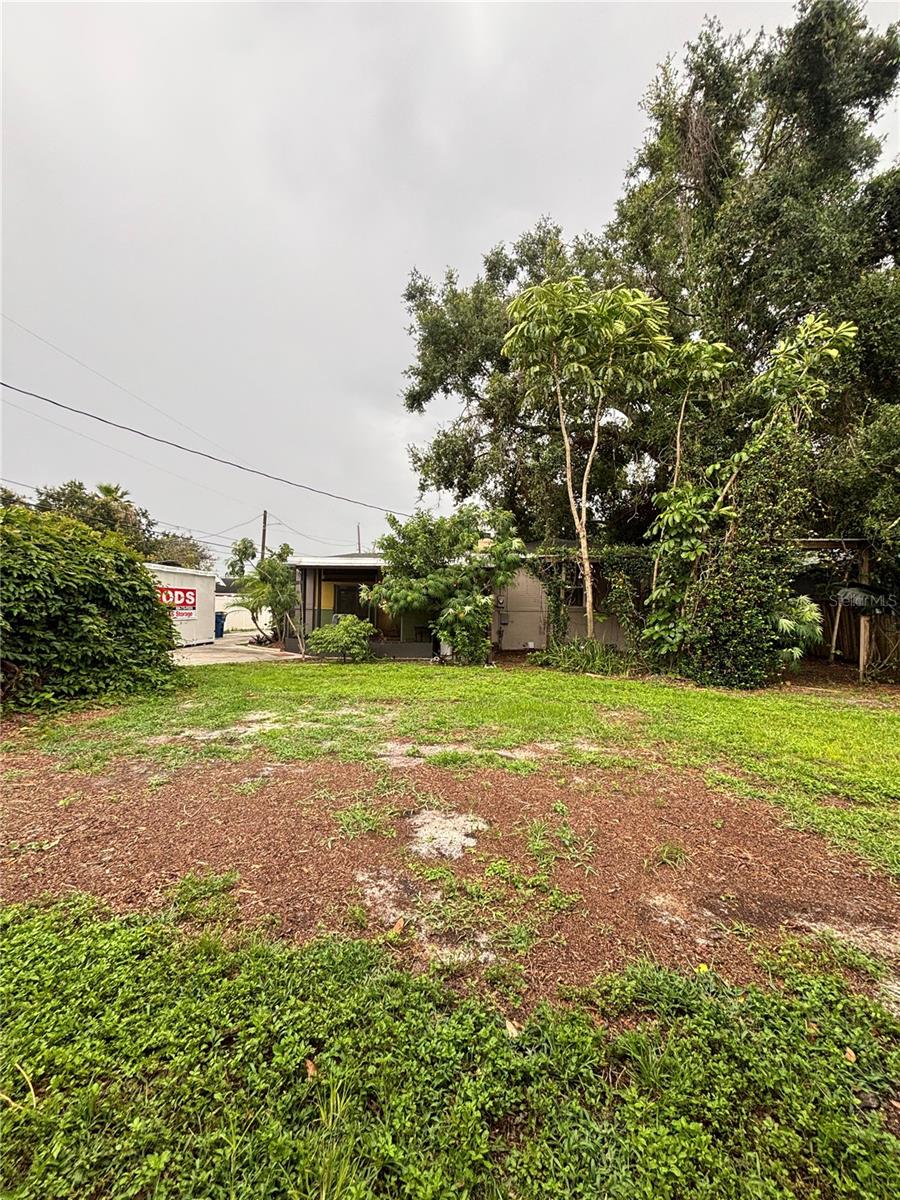 backyard
