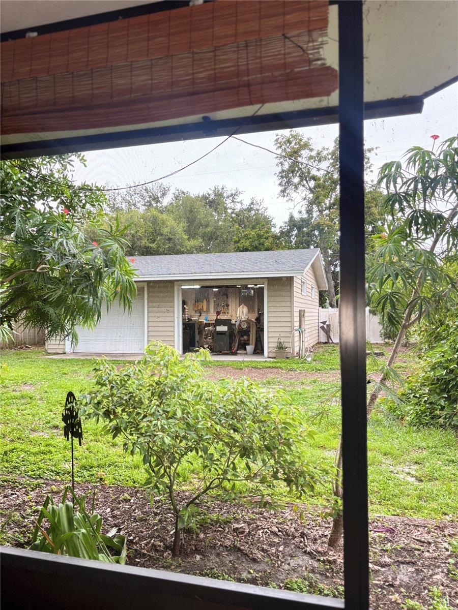 backyard