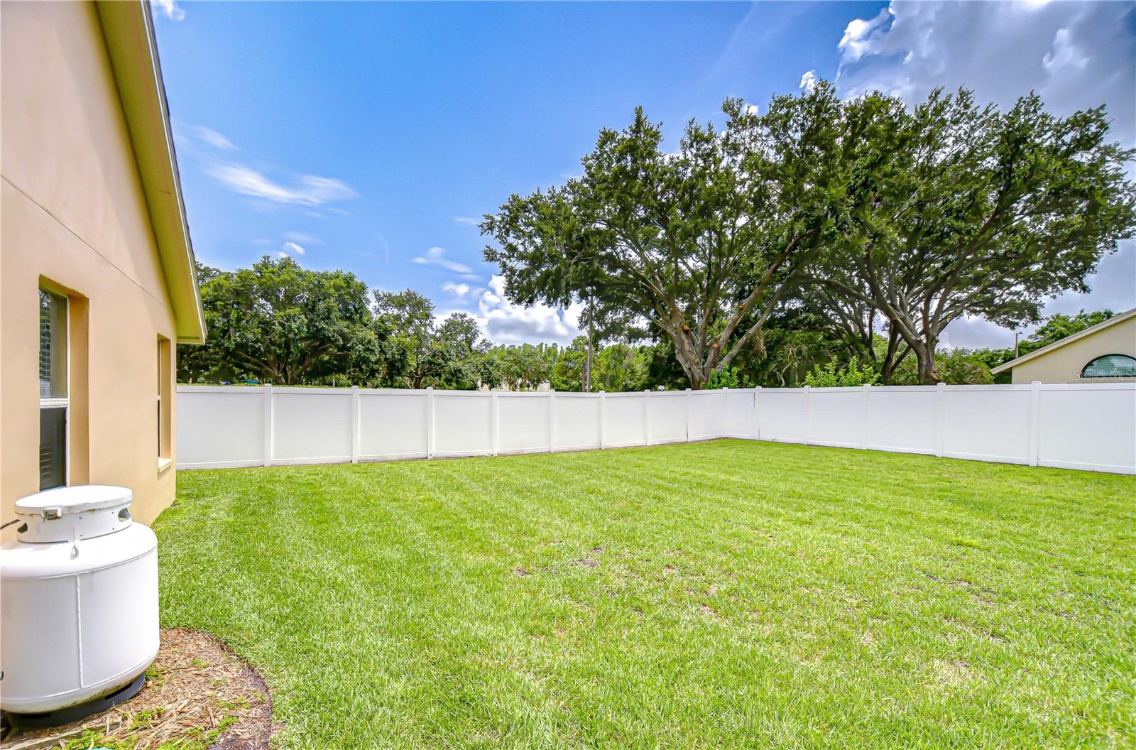 Fenced in huge backyard.