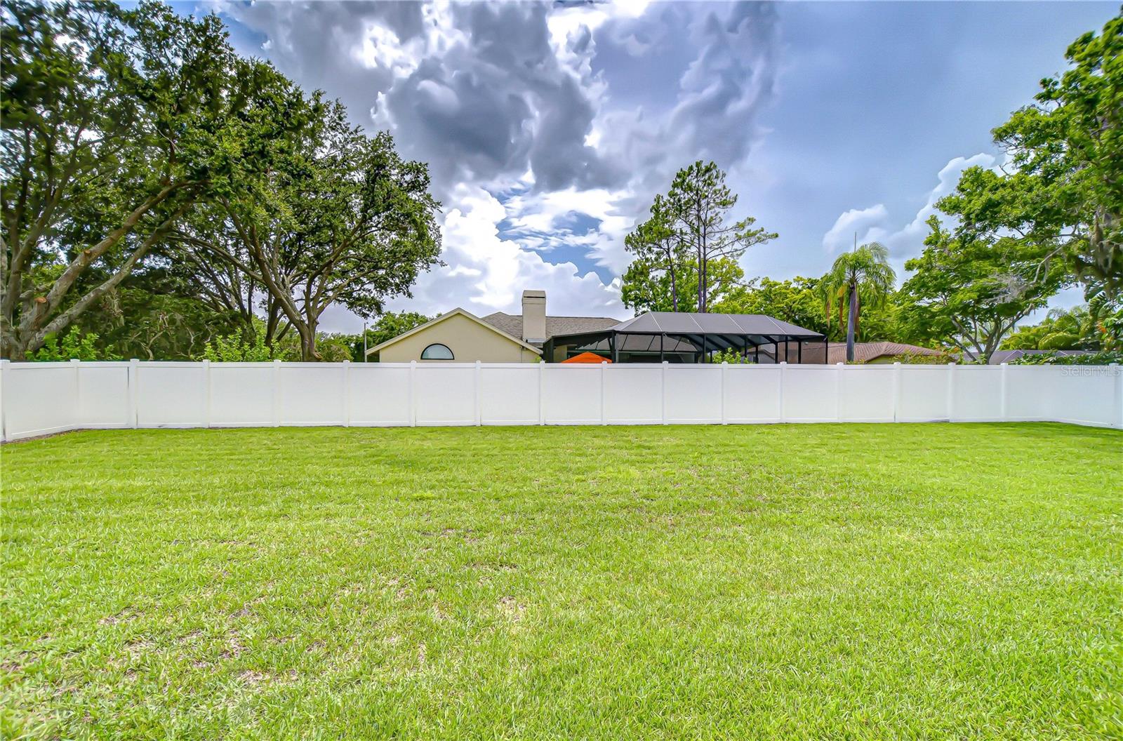 Lots of room in this back yard