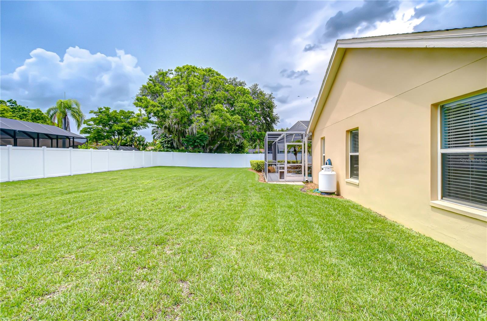 Side view of back yard.