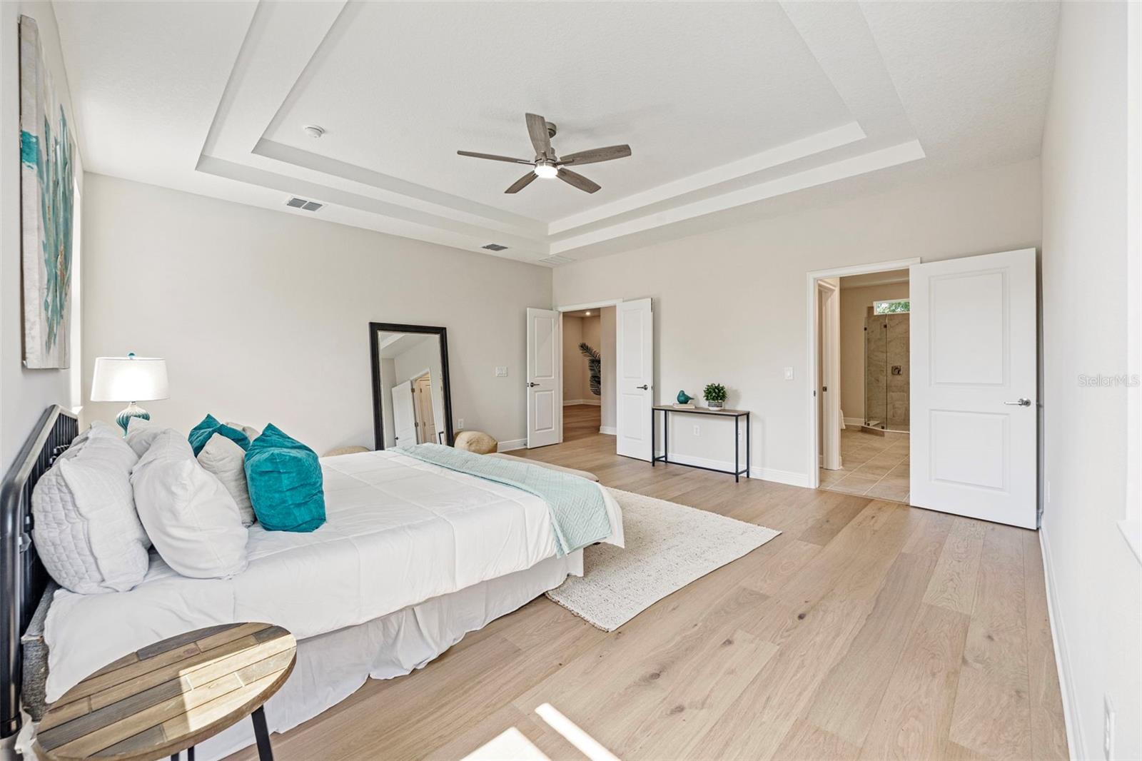 Tray ceiling!