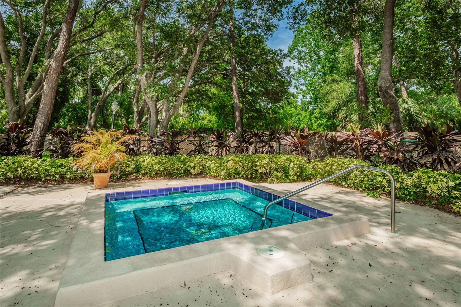 Hot Tub anyone?