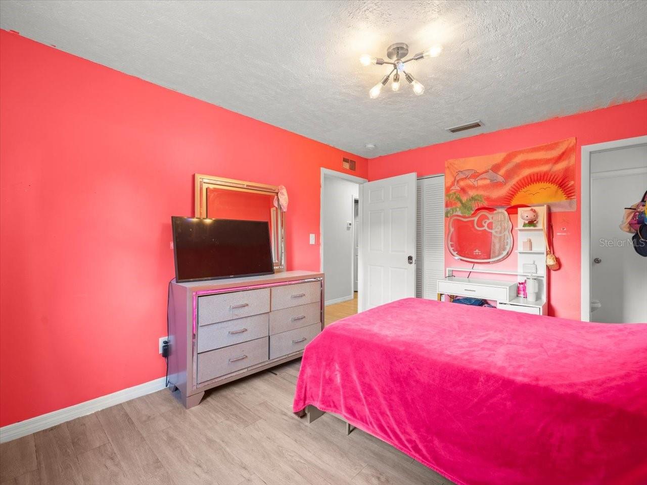 Primary bedroom with walk-in closet.