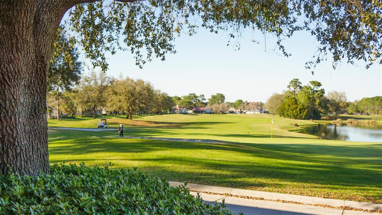 Panoramic Views from the Clubhouse