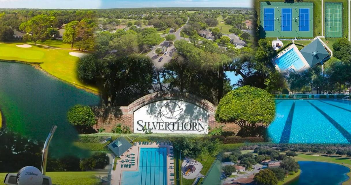 Welcome Home to Silverthorn