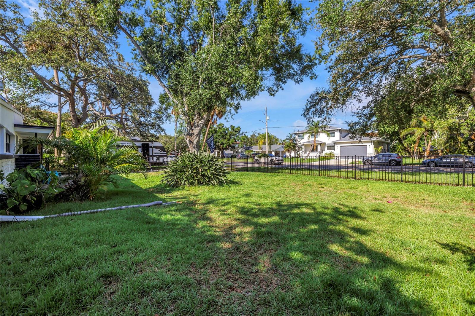 Side and Front Yard