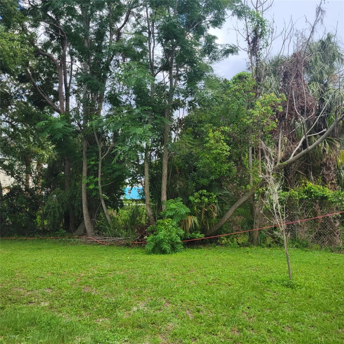 Beautiful Huge Backyard