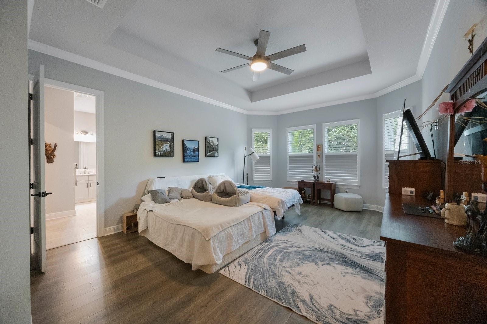 Primary Suite