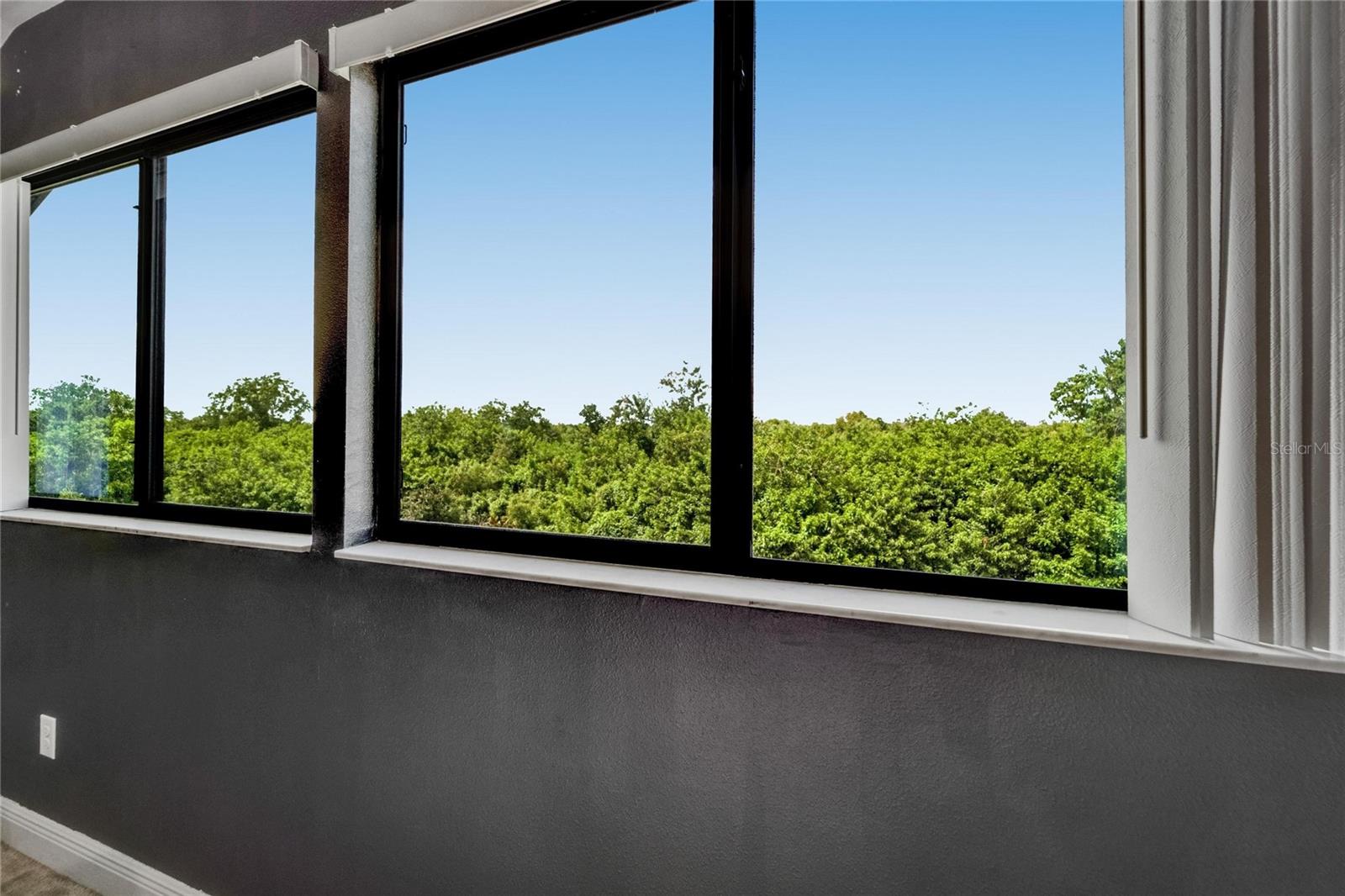 Conservation view from the bonus room