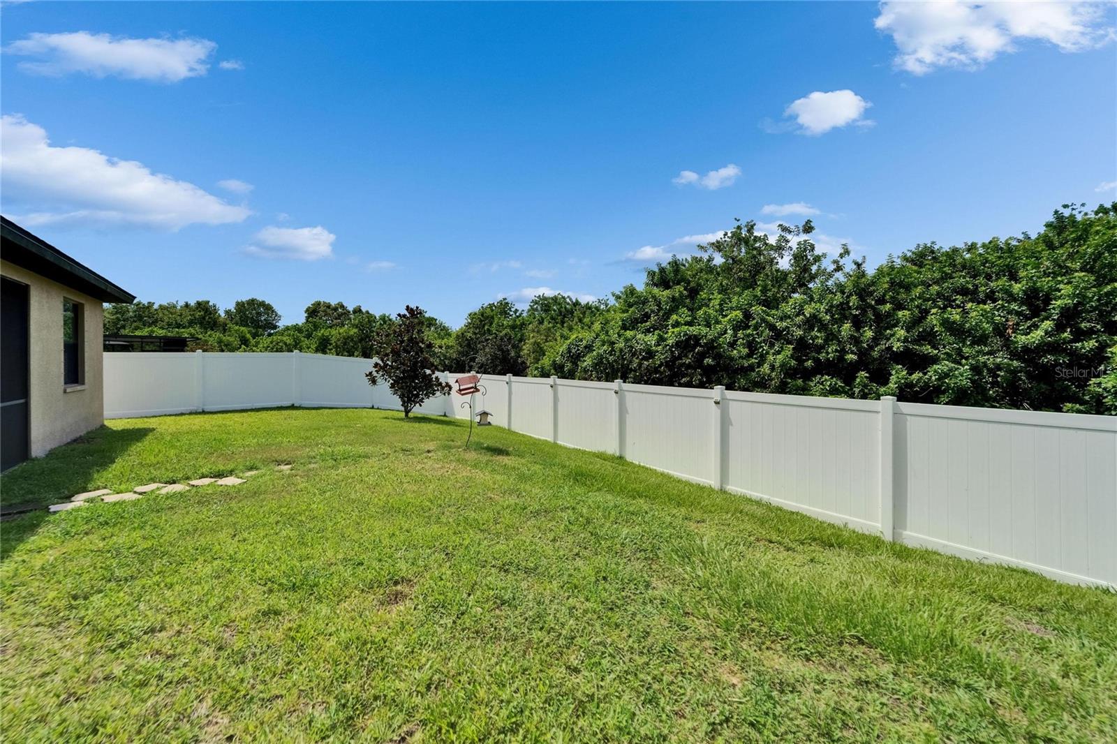 Huge fenced yard with conservation view