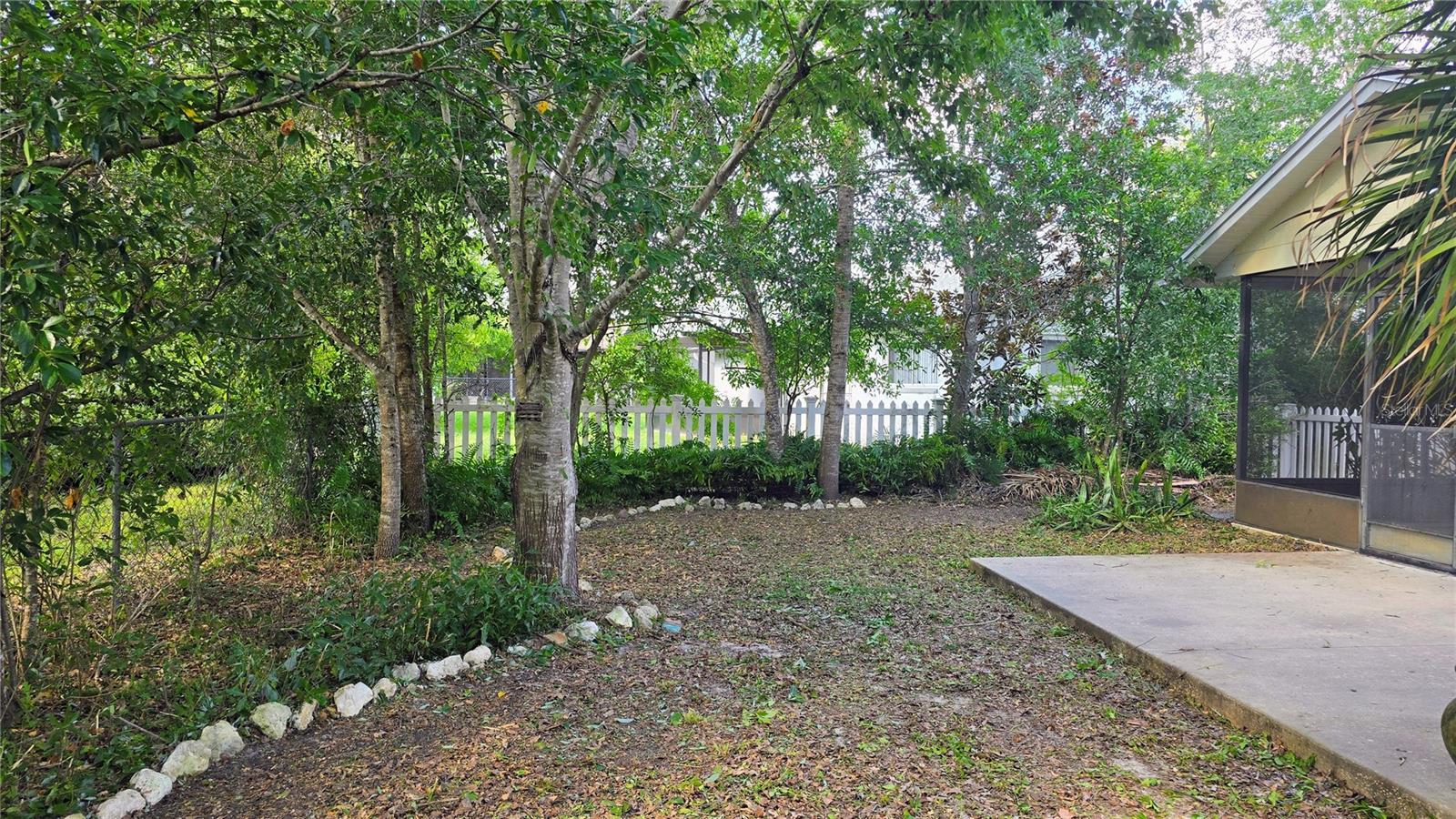 Back yard