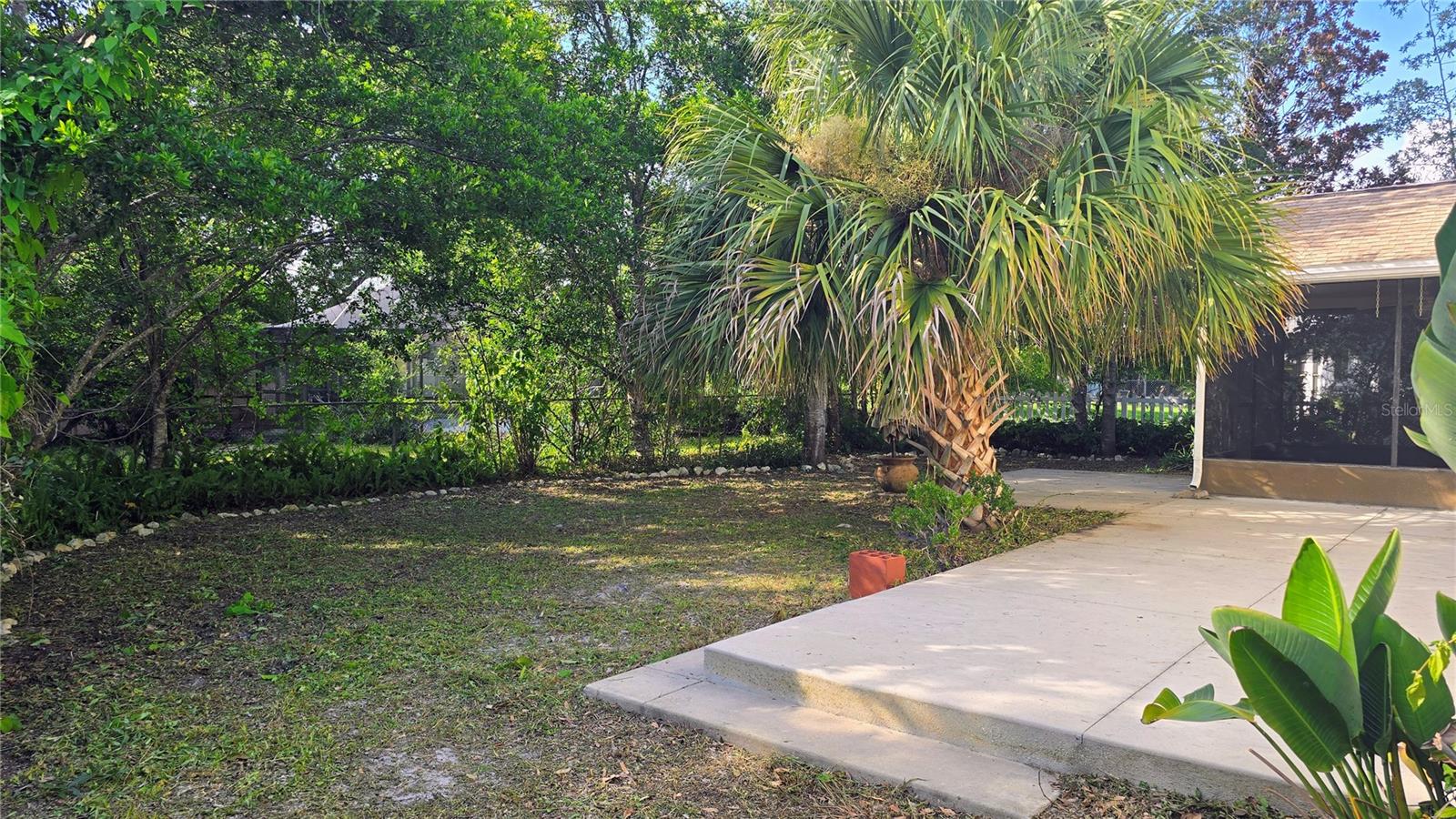 Back yard