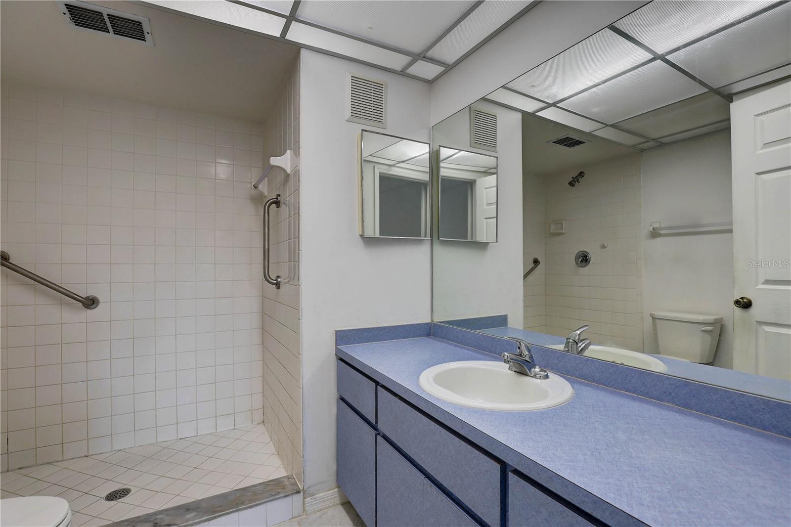 Ensuite bathroom, ground level