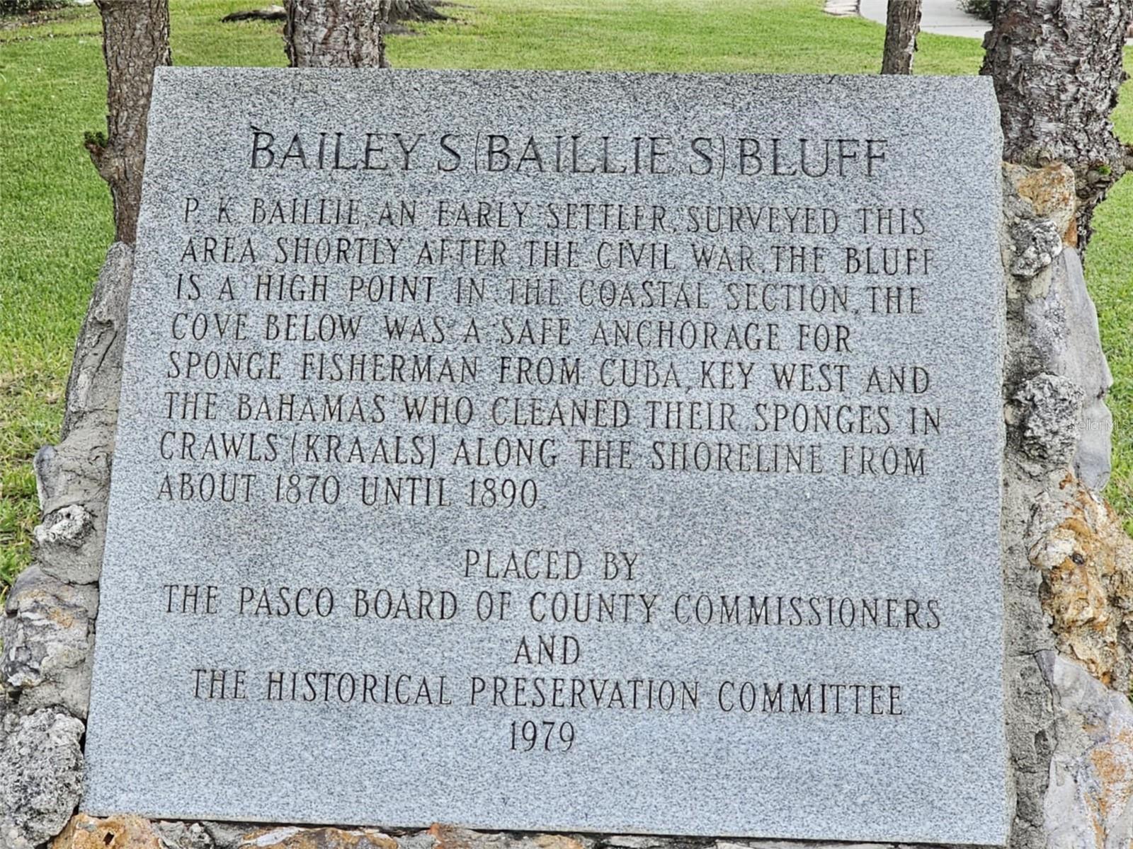 Baileys Bluff
