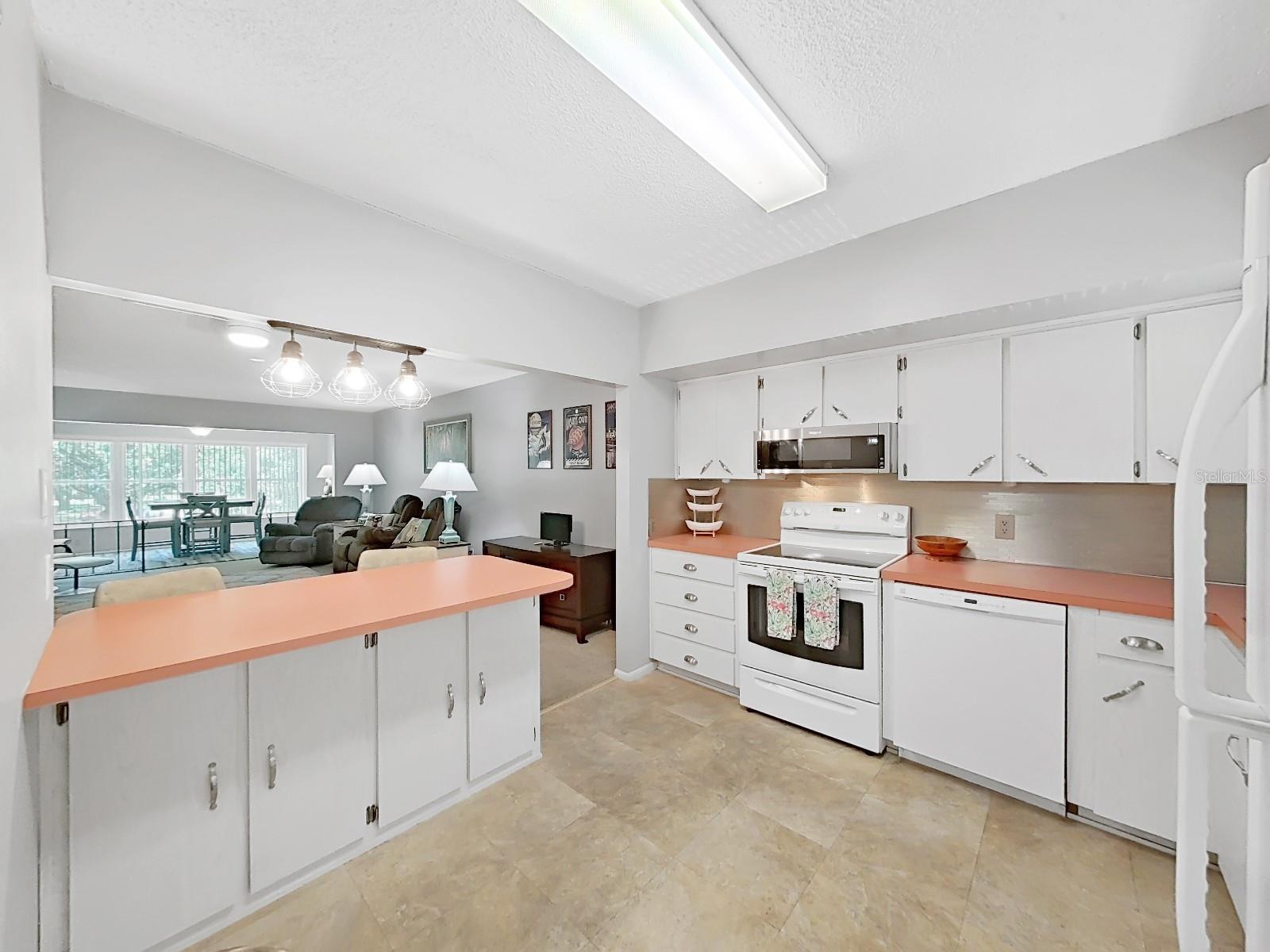 Roomy Kitchen