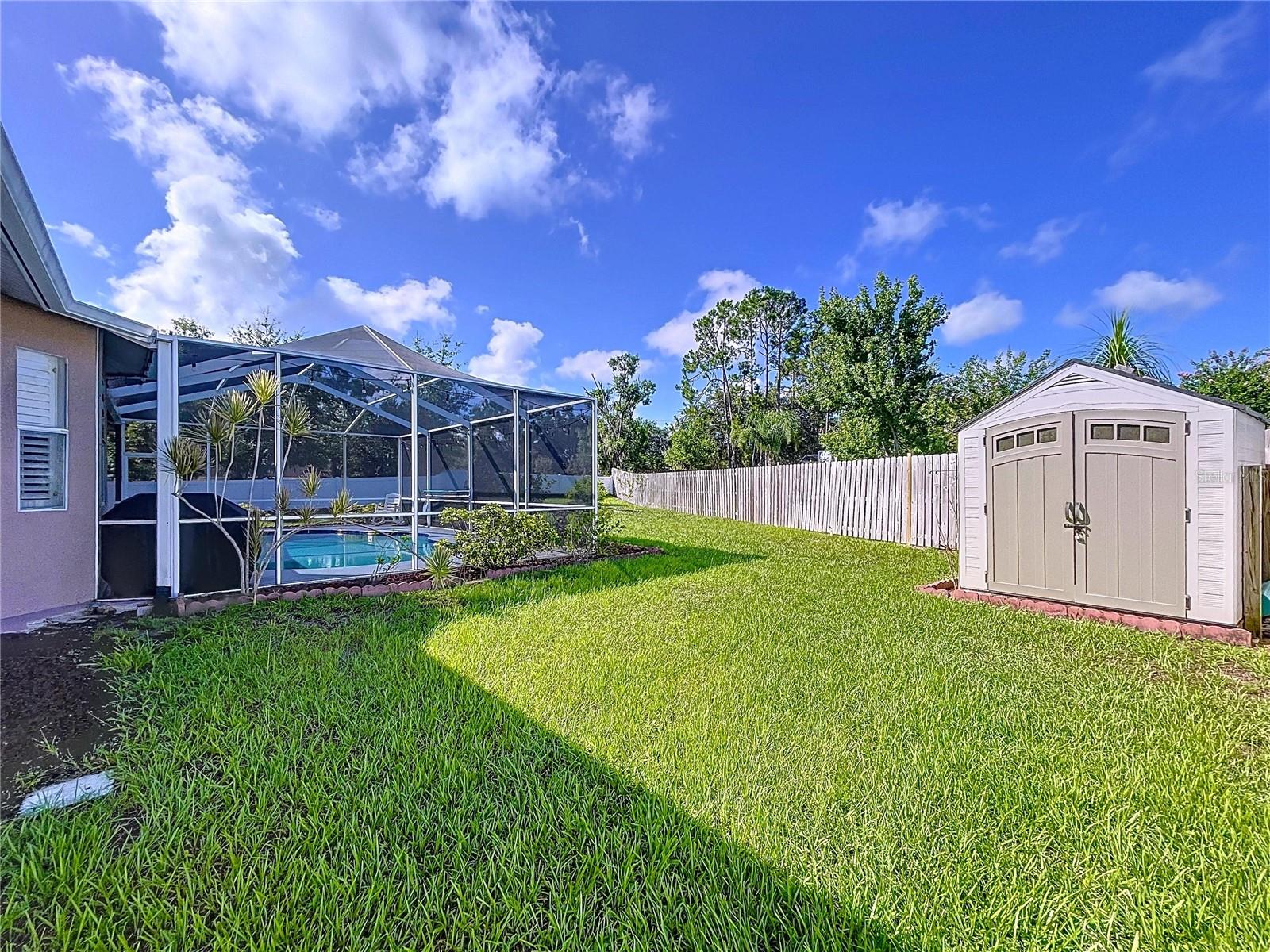Large Yard and Shed