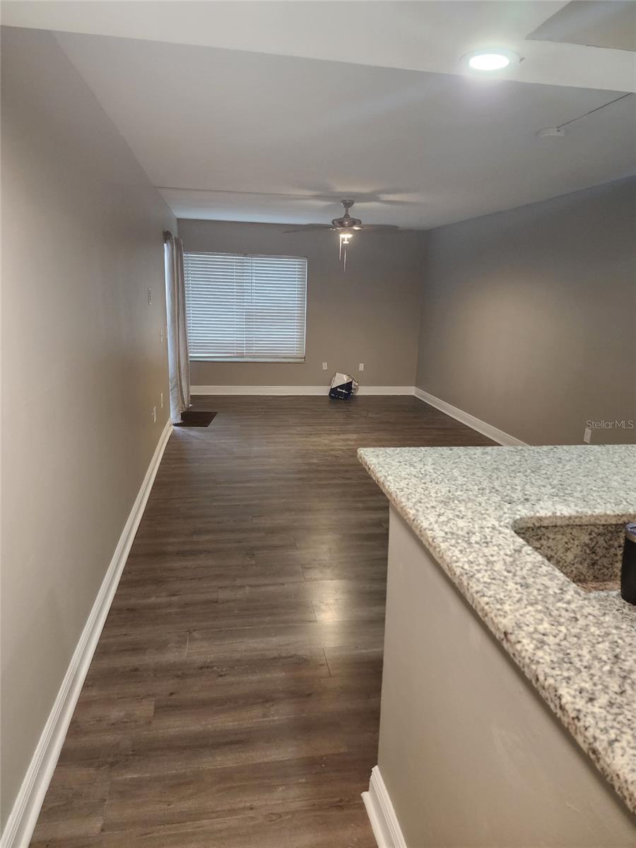 Living/ dining room