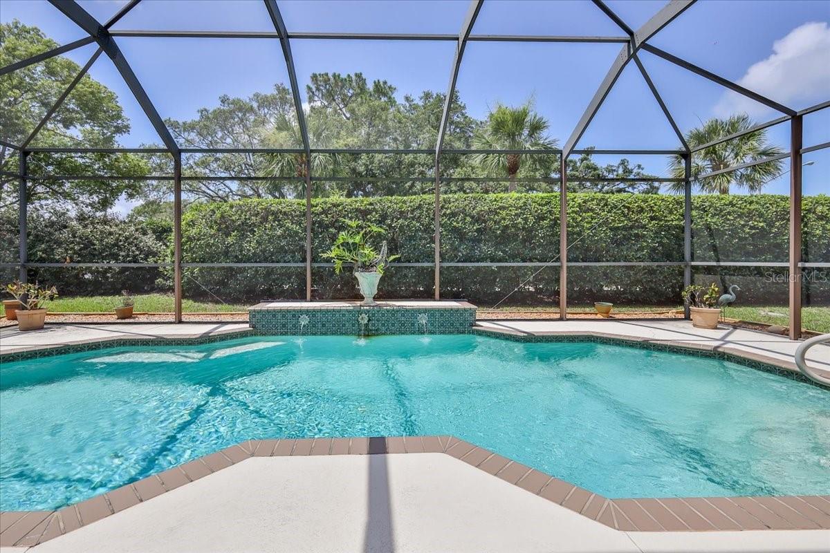 View of Pool from Sliding Glass Doors