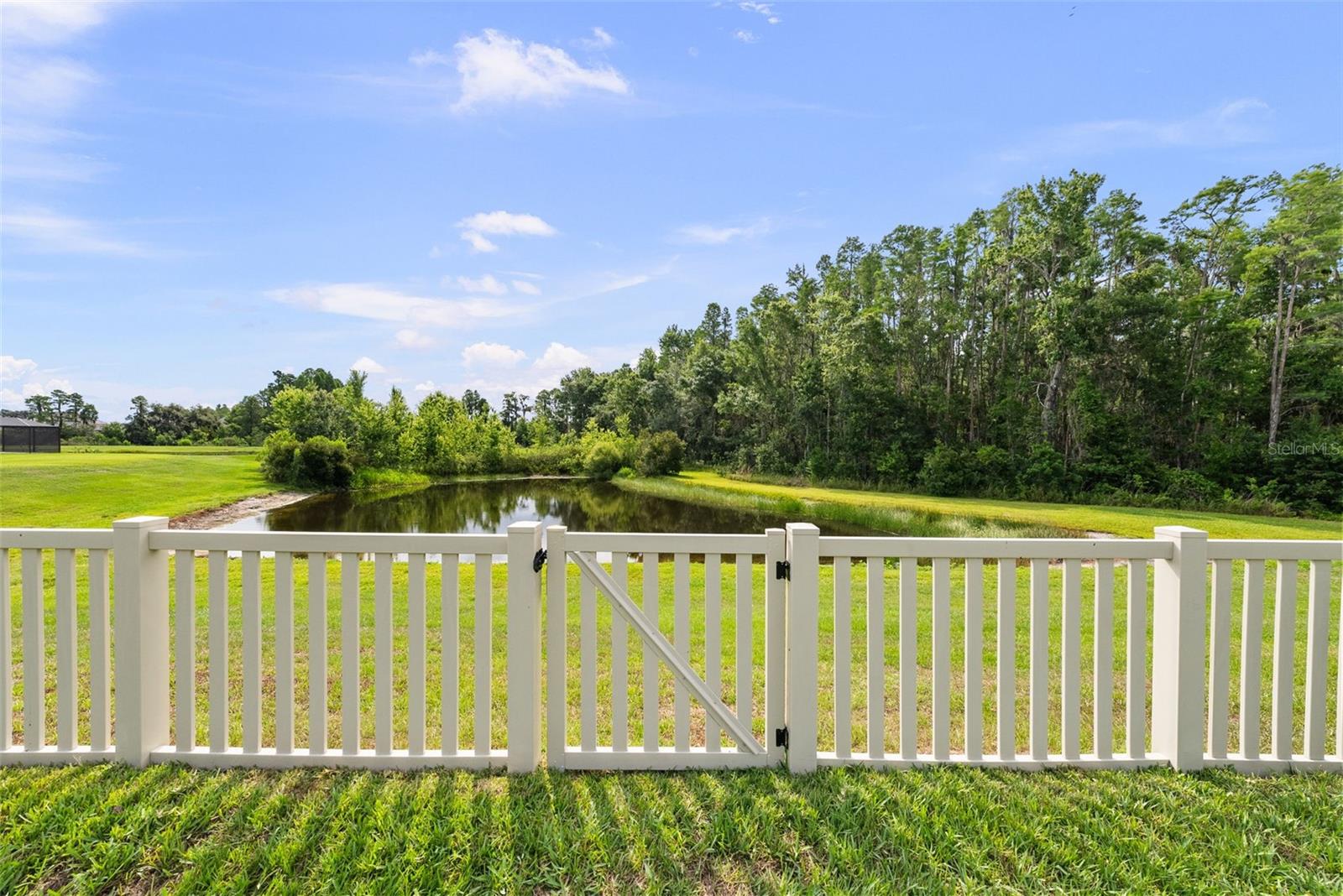 pond view