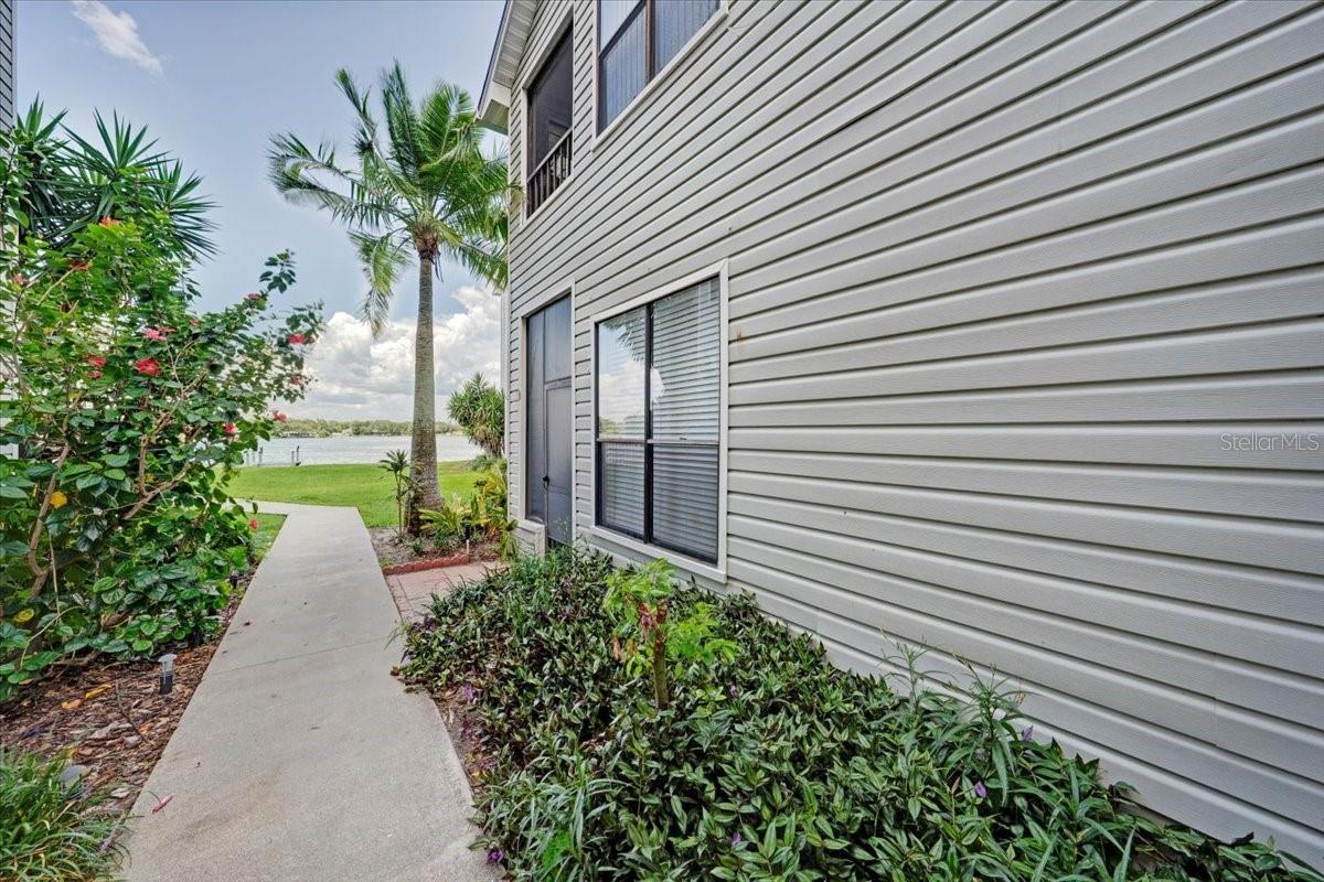 walk way to rear screened lanai, pool, and Egypt Lake