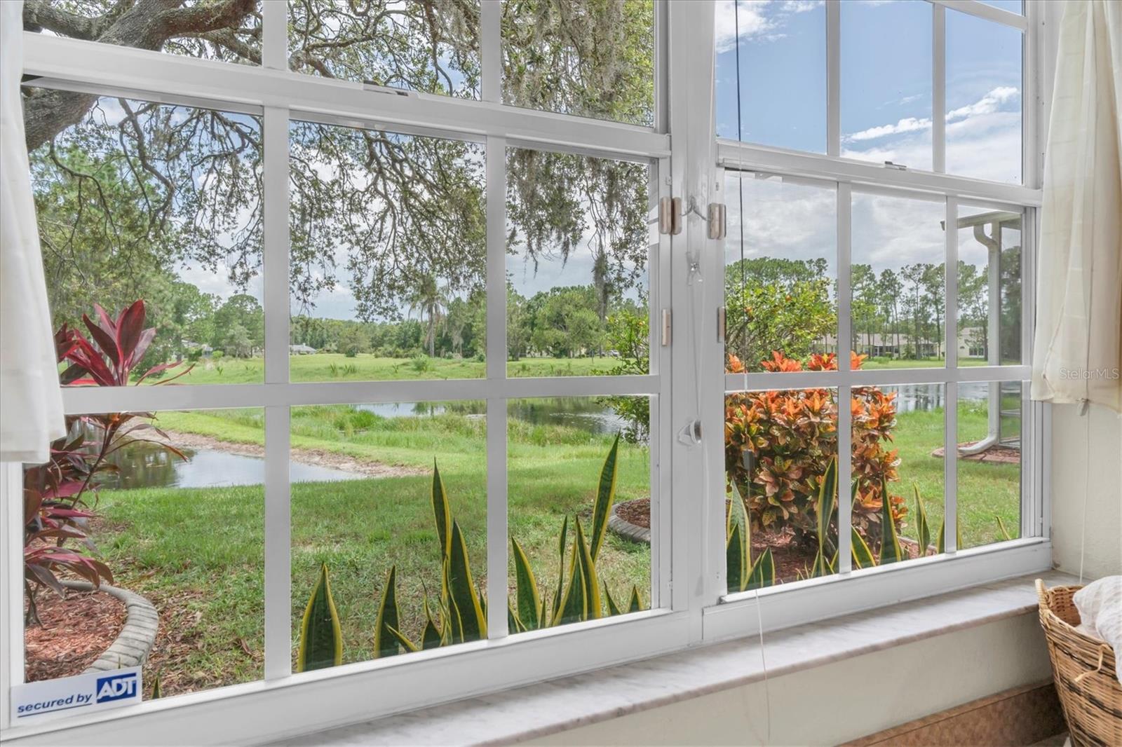 View from Owner's BR