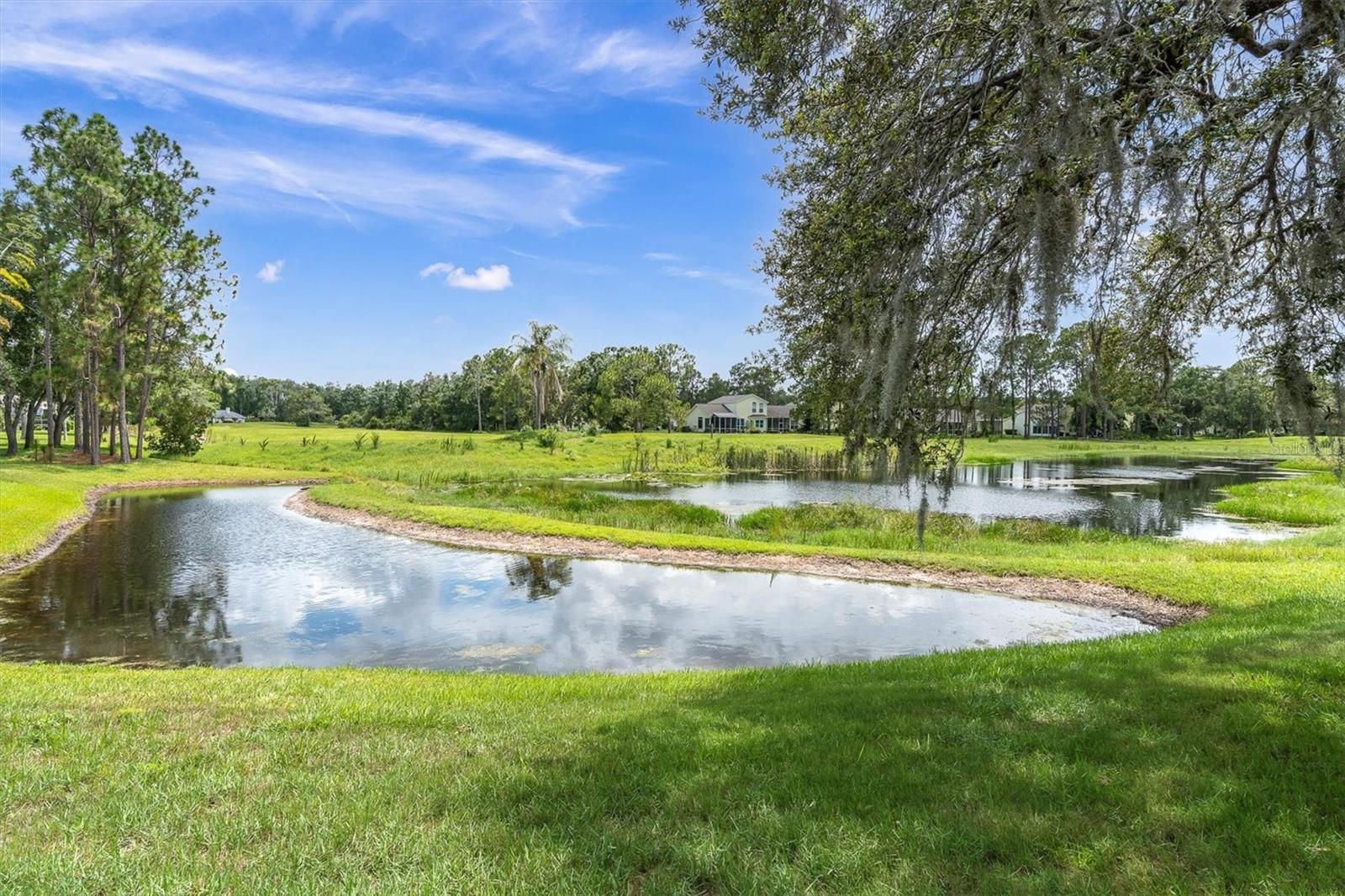 Pond View