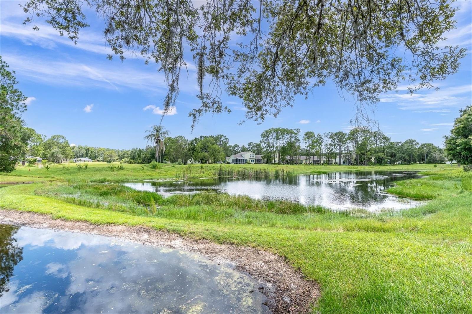 2 ponds behind home