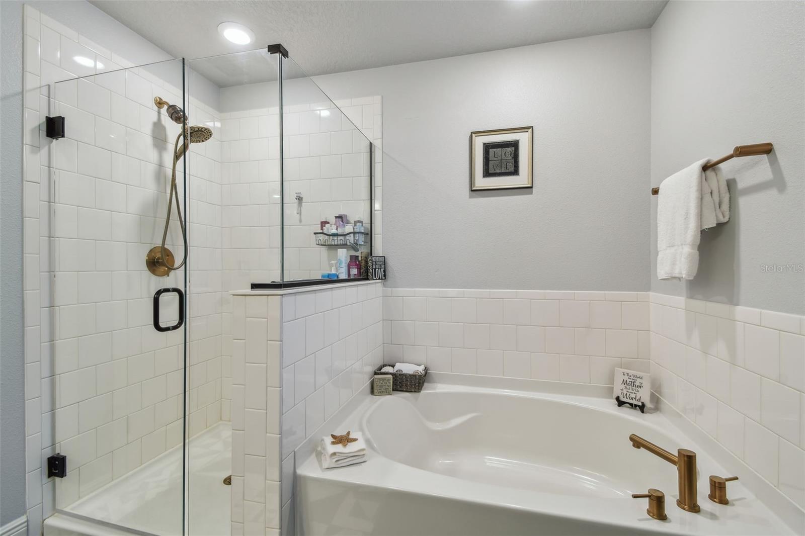 Walk in shower and soaking tub master bath