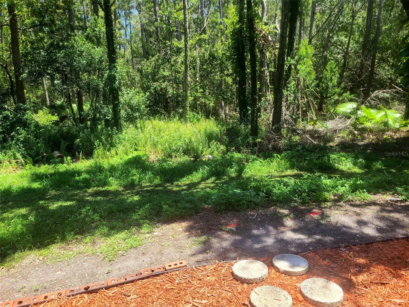Back Yard Conservation