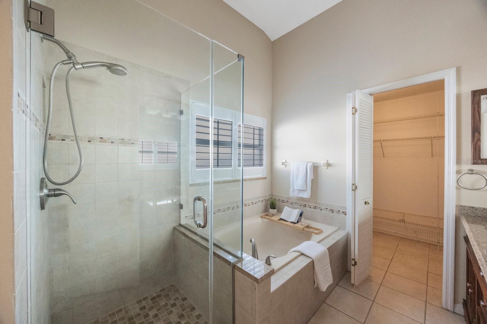 Walk-in Shower and Soaking Tub