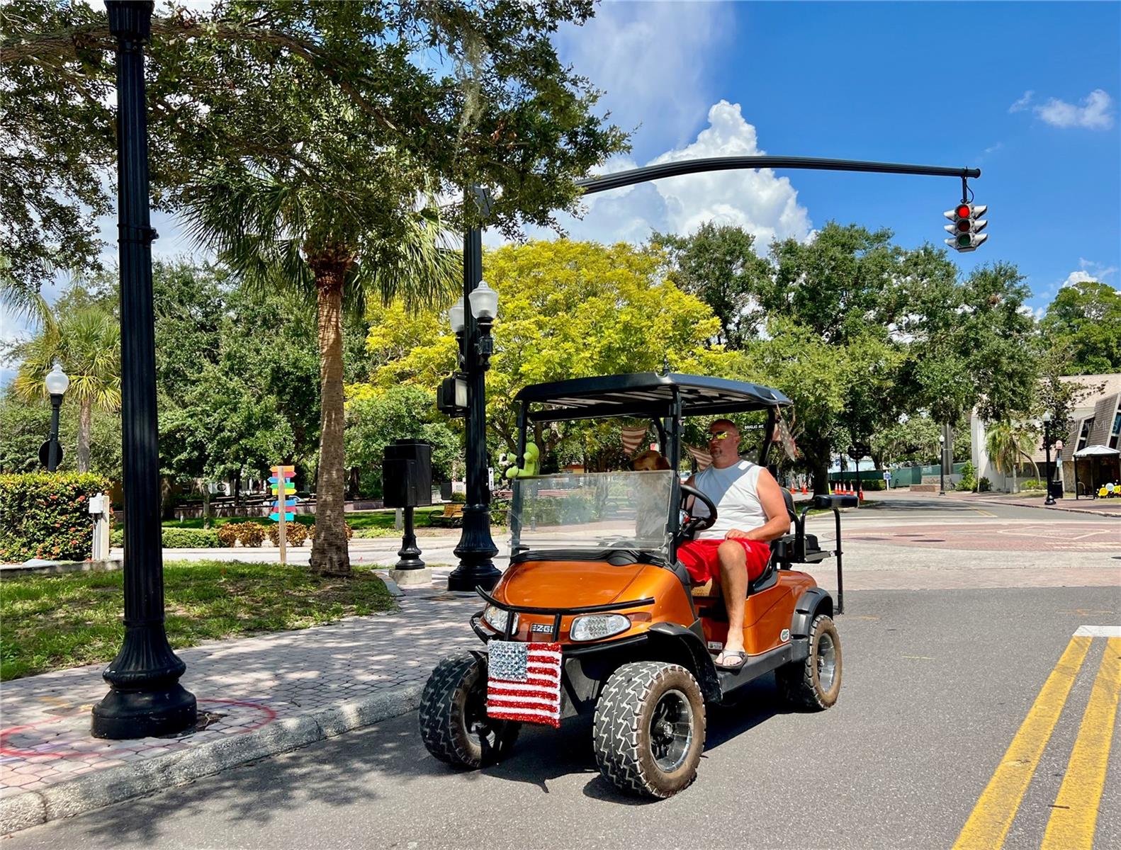 Golf Cart Community