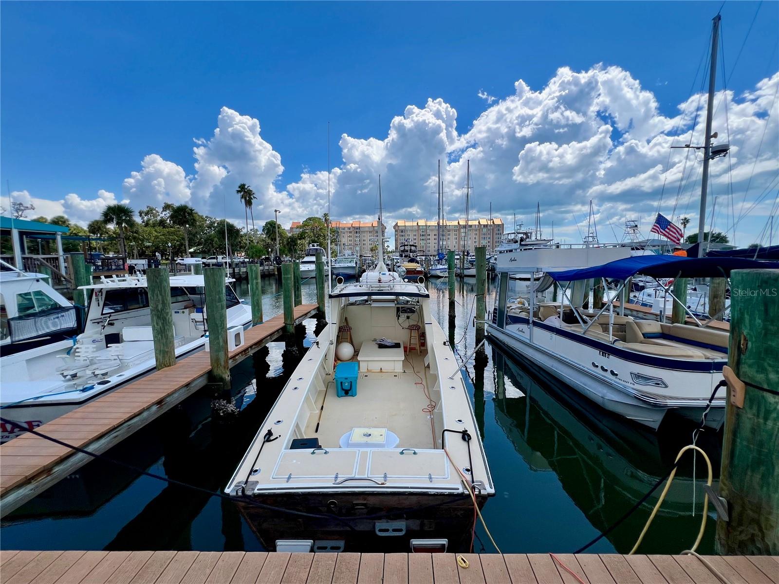 Dunedin Marina