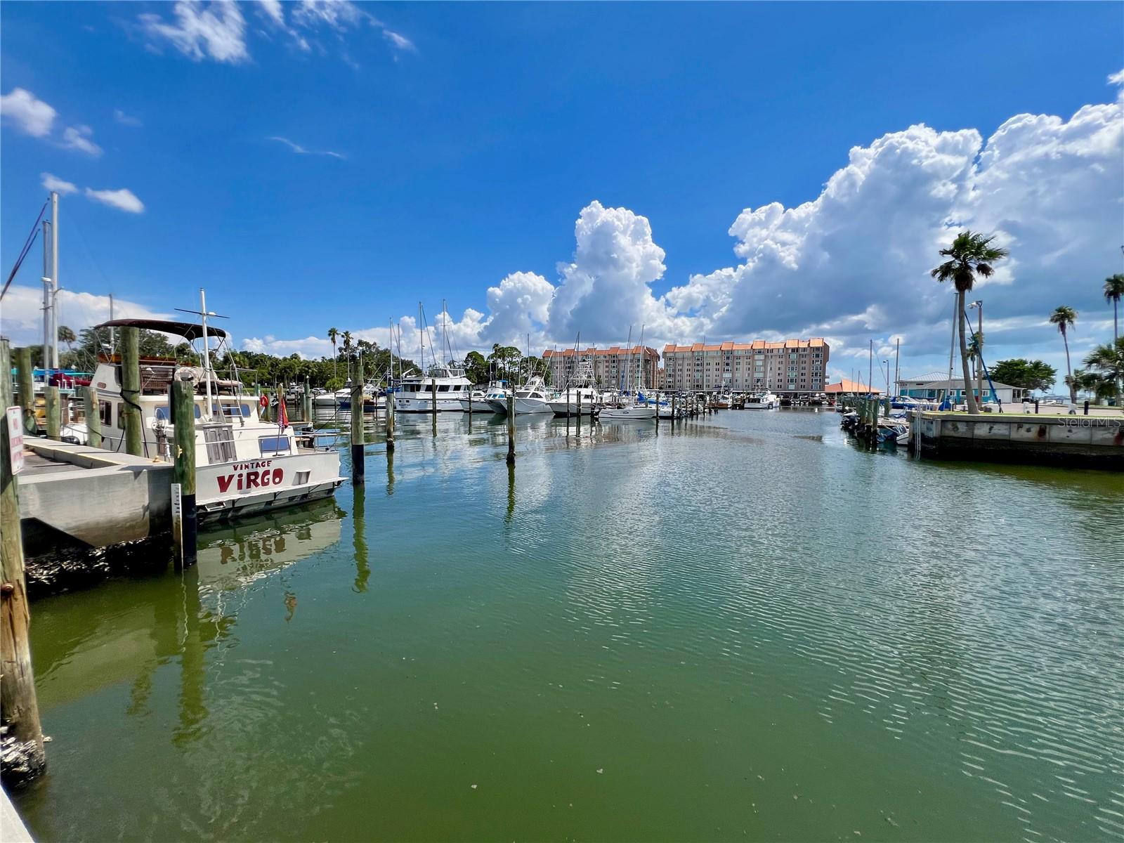 Dunedin Marina