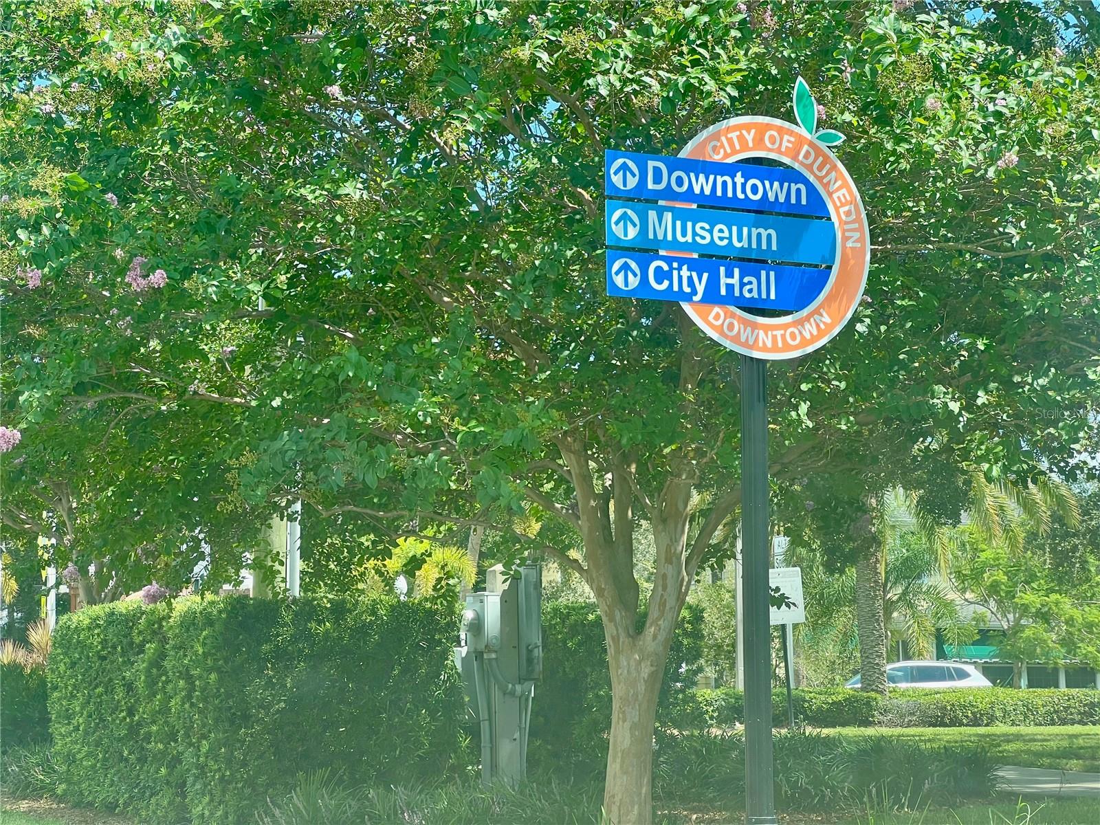 Downtown, Museum & City Hall