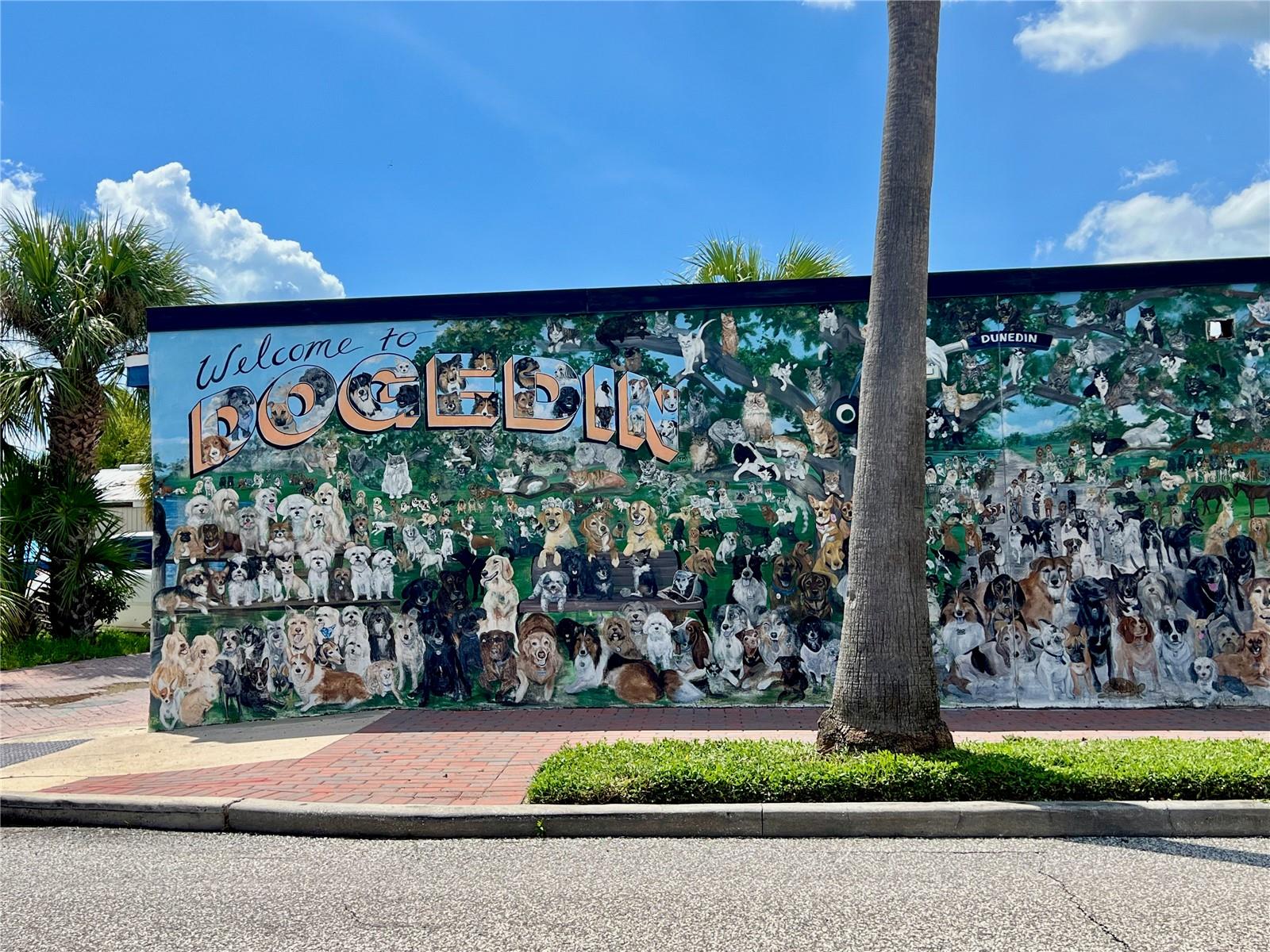 Dog Mural - Welcome to Dunedin!