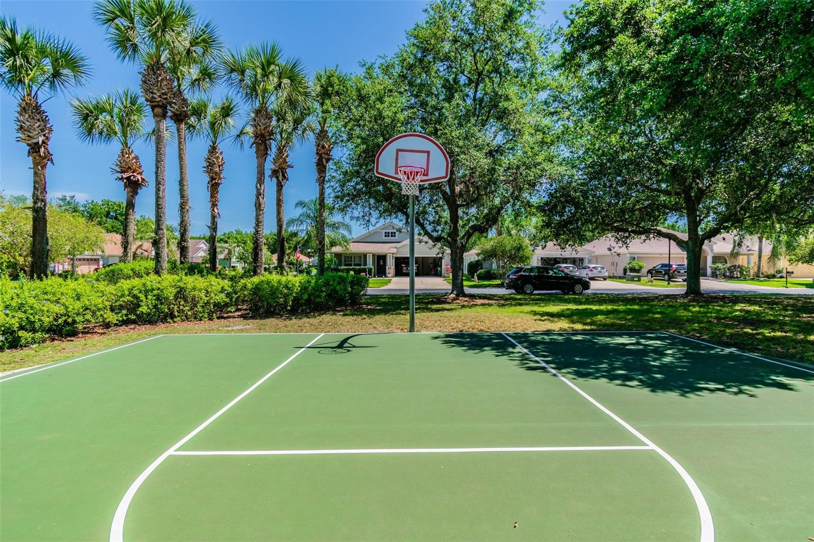 Private Bellafield basketball court!