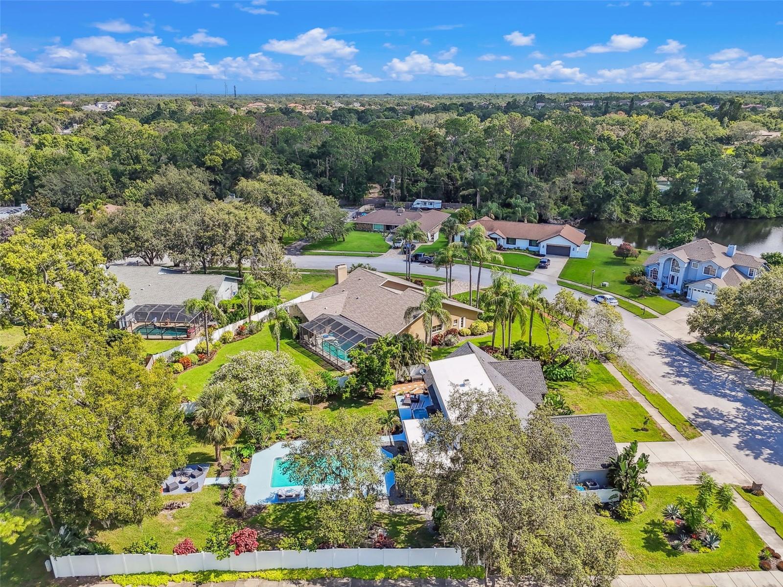 Great Palm Harbor neighborhood. High and dry. Great schools!