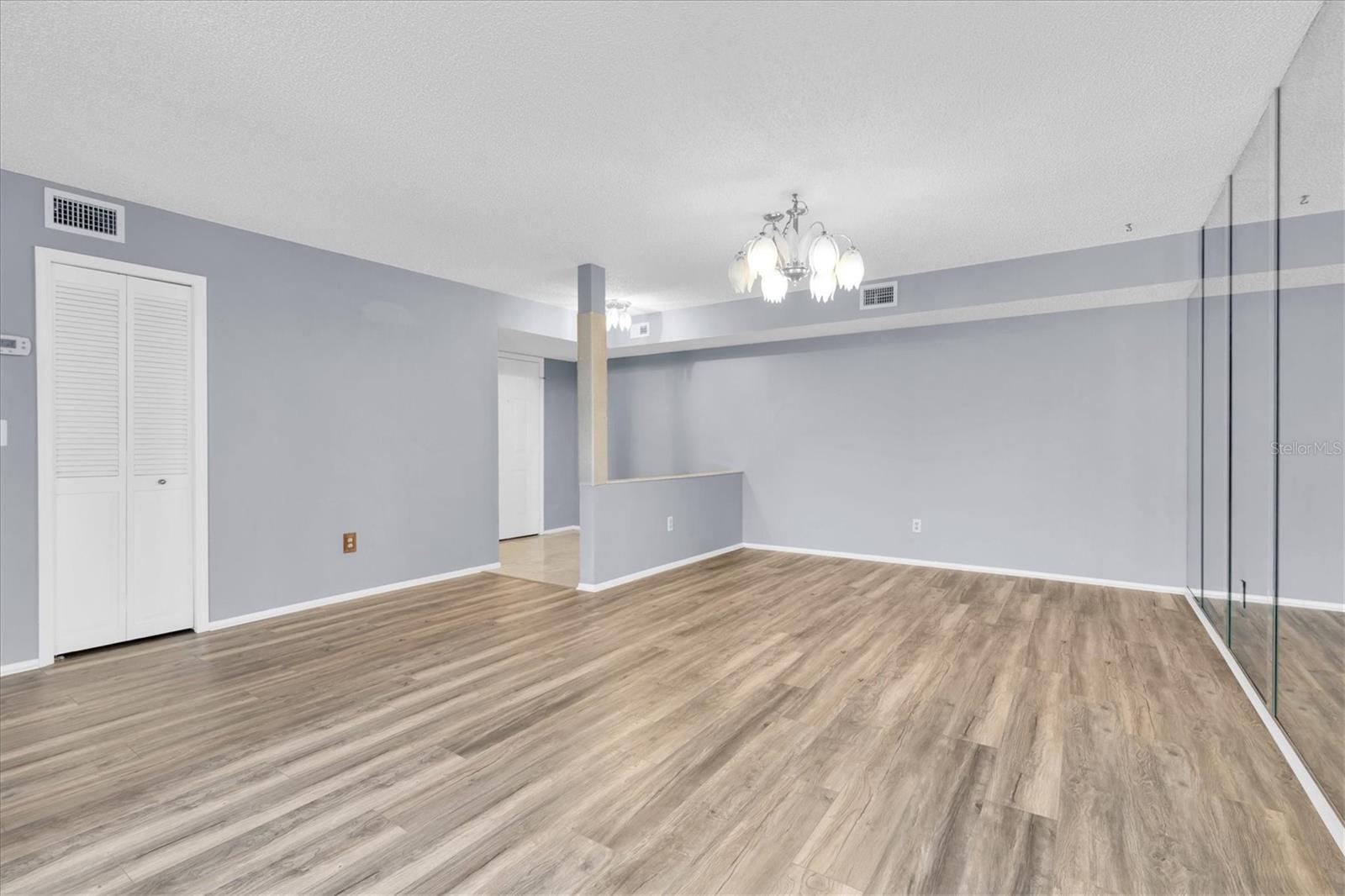 Dining room and entry area with coat closet.