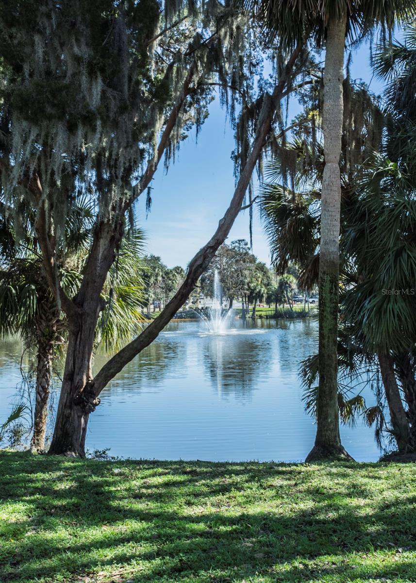 Sims Park- Downtown New Port Richey