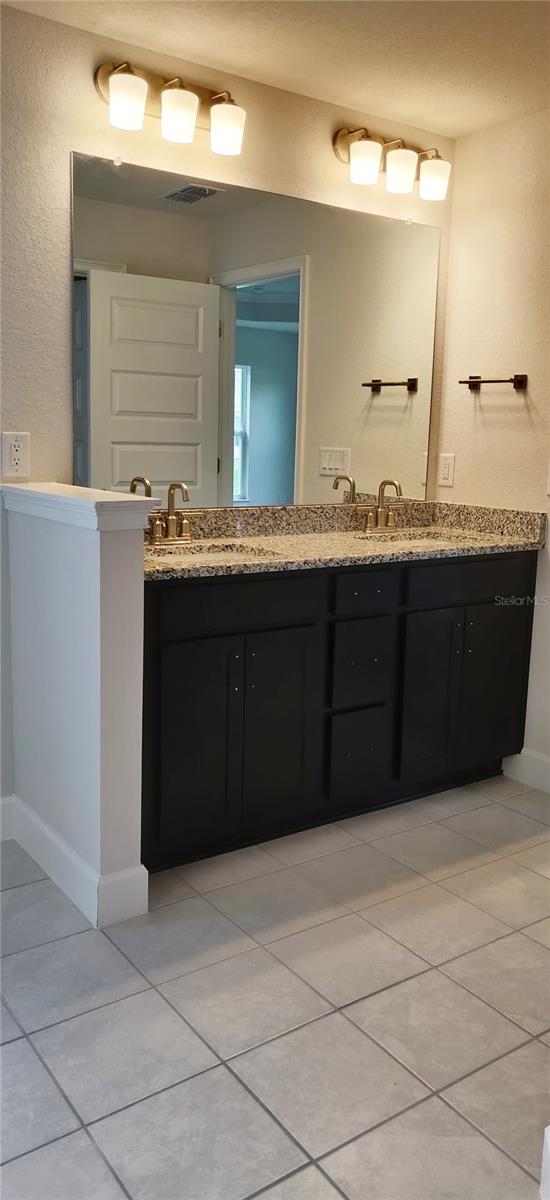 Primary Dual Sinks/Vanity