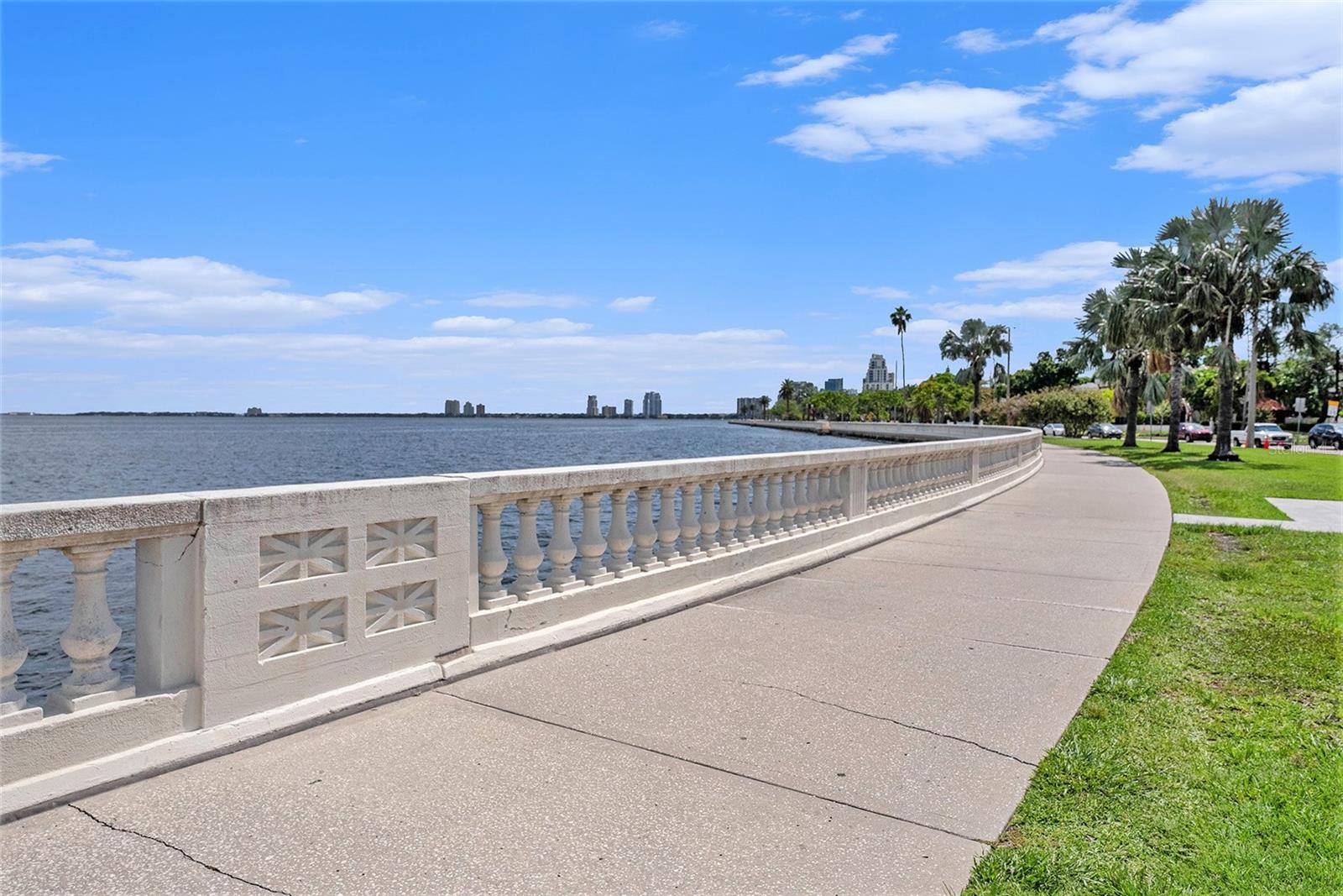 5 minute to iconic Bayshore Boulevard