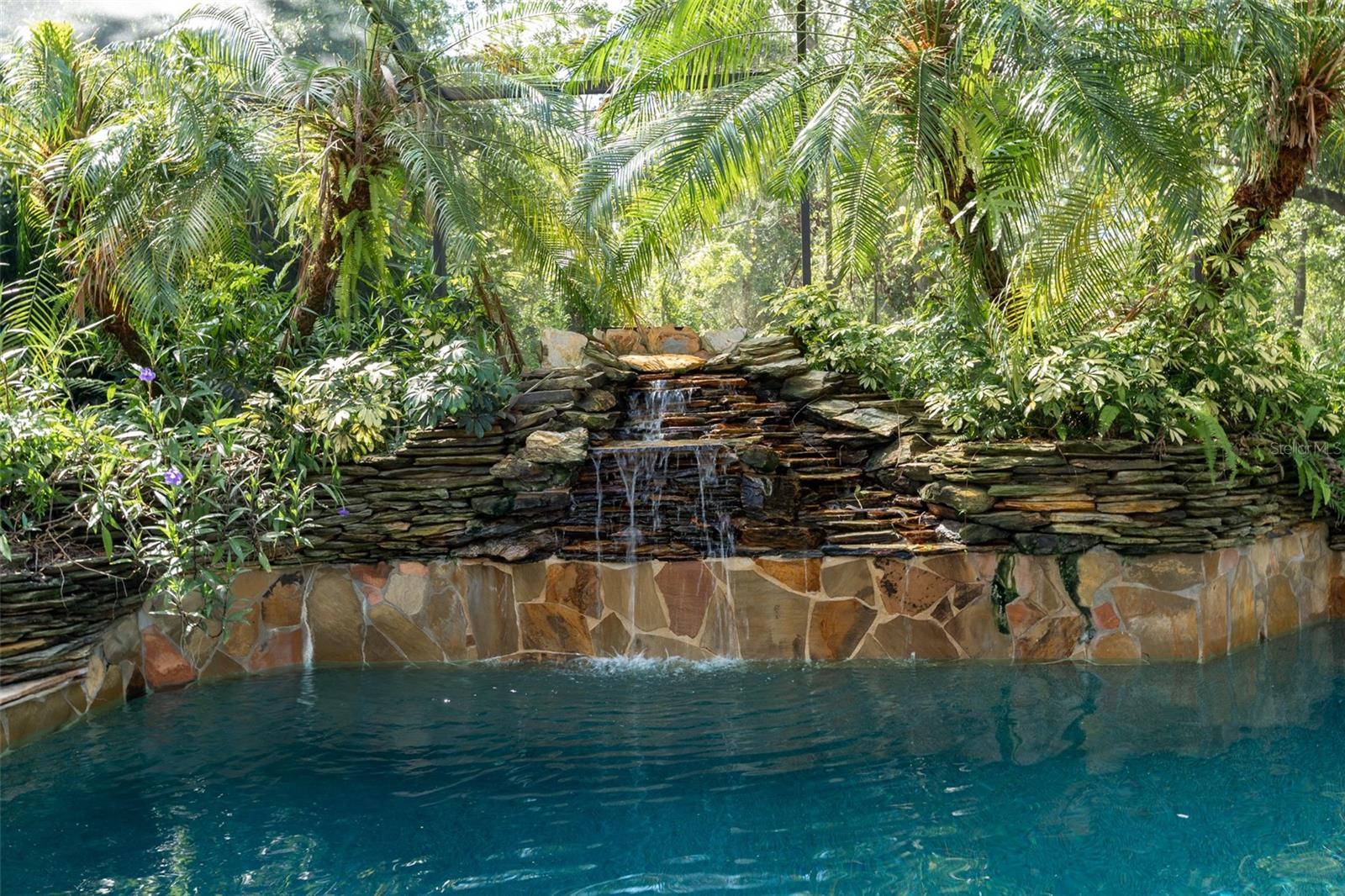 Your Tropical Oasis Awaits