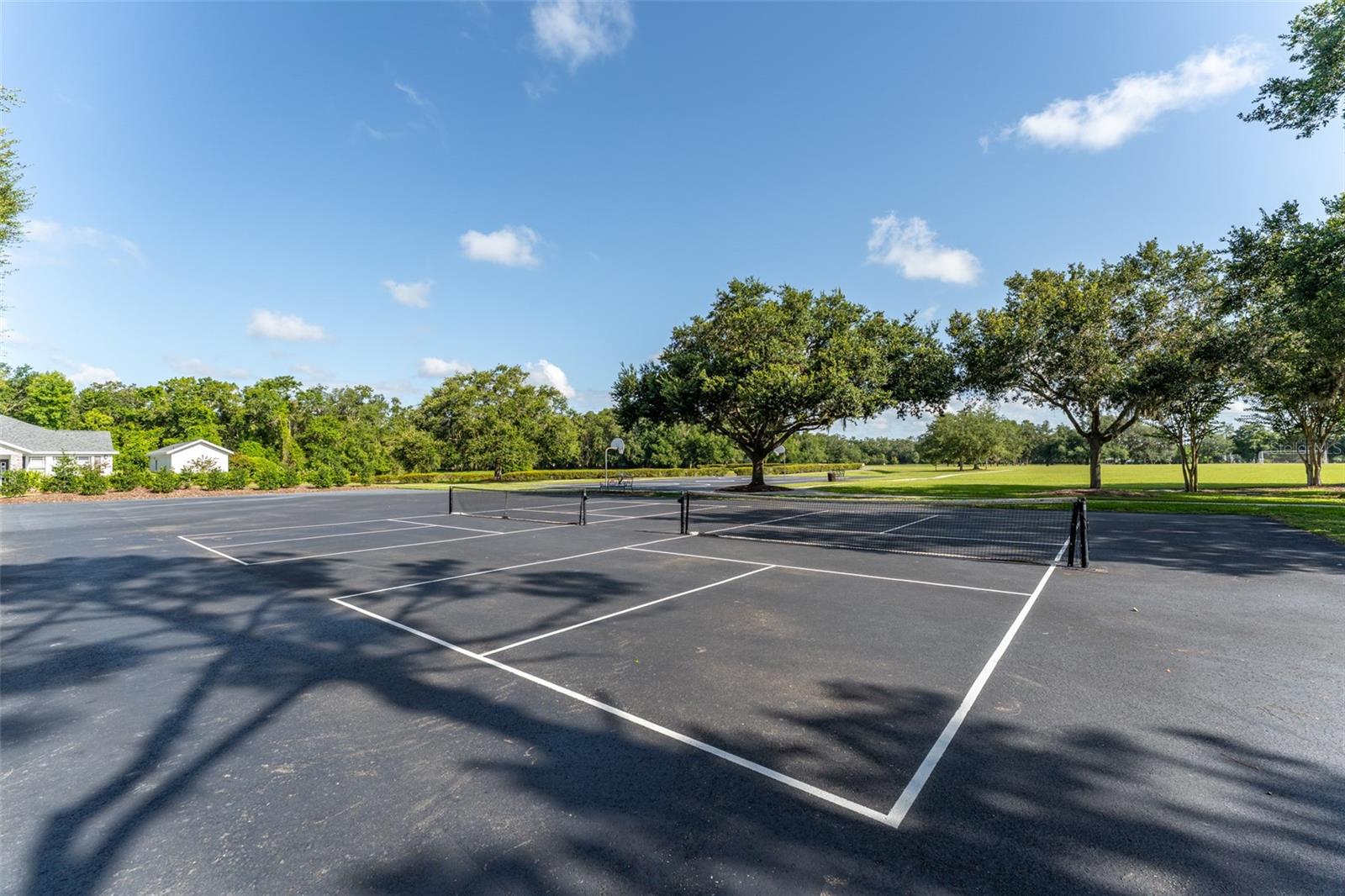 Pickleball Court