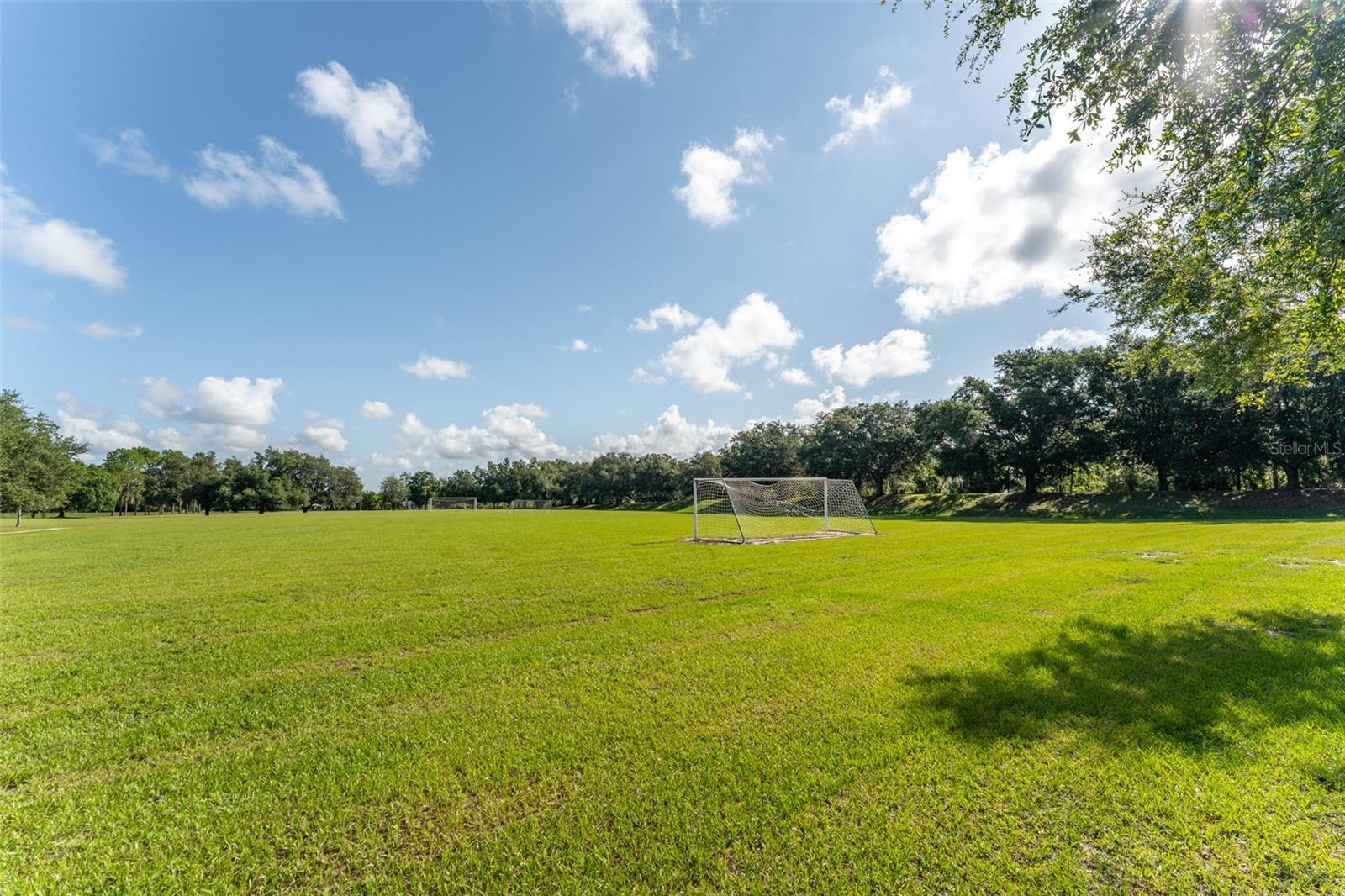 Soccer Field
